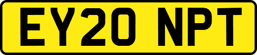 EY20NPT
