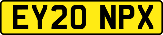 EY20NPX