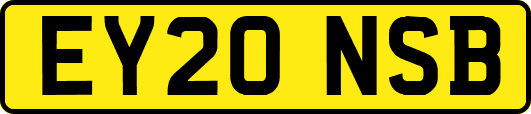 EY20NSB