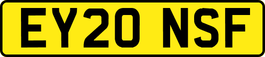 EY20NSF