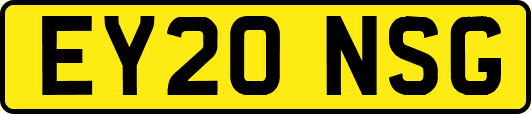EY20NSG