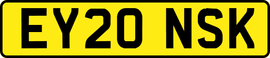 EY20NSK
