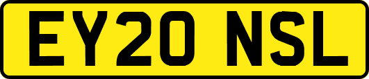 EY20NSL
