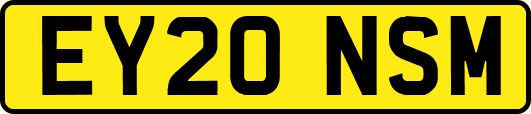 EY20NSM