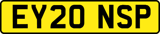 EY20NSP