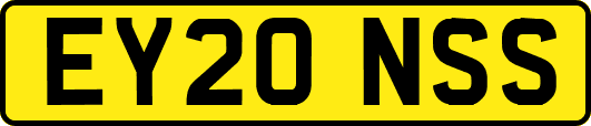 EY20NSS