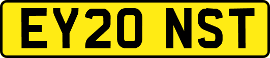 EY20NST