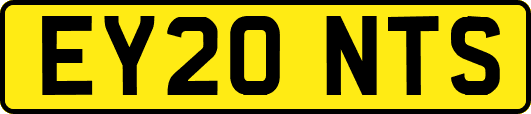 EY20NTS