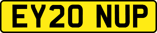 EY20NUP