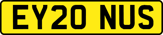 EY20NUS