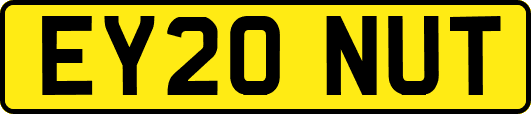 EY20NUT