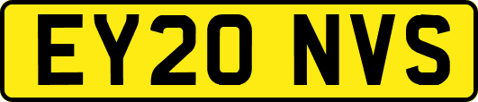 EY20NVS