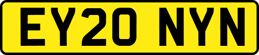 EY20NYN