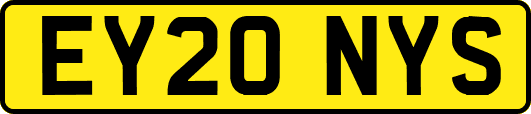 EY20NYS