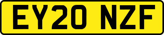 EY20NZF