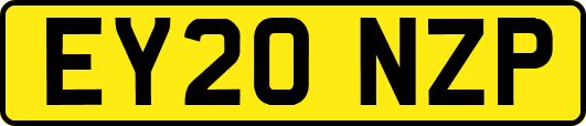 EY20NZP