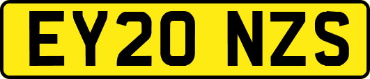 EY20NZS