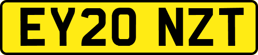 EY20NZT