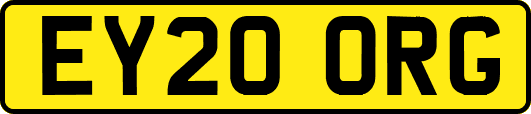 EY20ORG