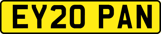 EY20PAN