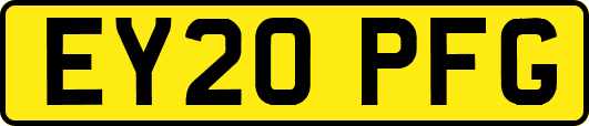 EY20PFG