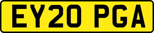 EY20PGA