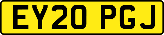 EY20PGJ