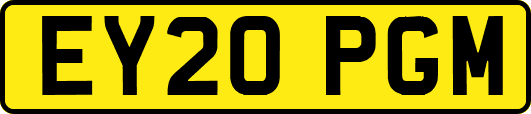 EY20PGM