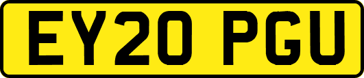 EY20PGU