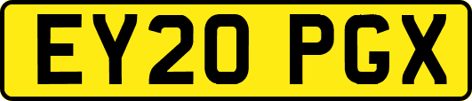EY20PGX