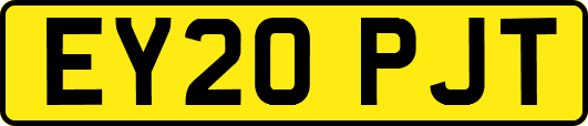 EY20PJT