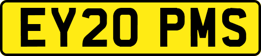 EY20PMS