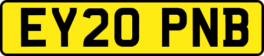 EY20PNB
