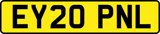 EY20PNL