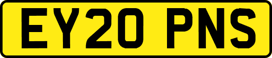 EY20PNS