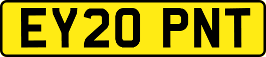 EY20PNT