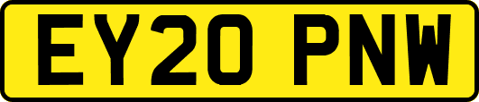 EY20PNW