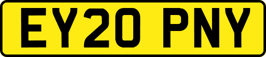EY20PNY