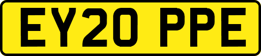EY20PPE