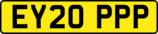 EY20PPP