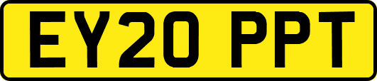 EY20PPT