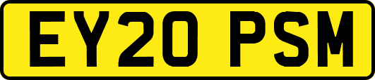 EY20PSM