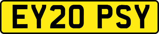 EY20PSY