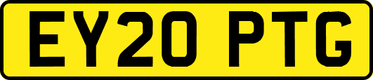 EY20PTG