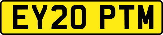 EY20PTM
