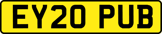 EY20PUB