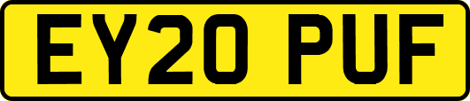 EY20PUF