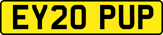 EY20PUP