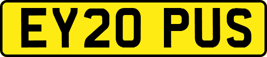 EY20PUS