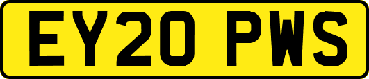 EY20PWS